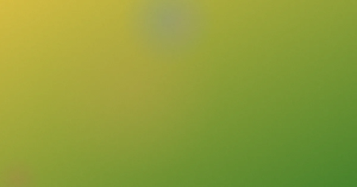 忘情水歌词推荐：新手怎么听